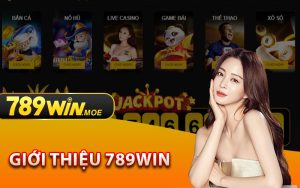 Giới Thiệu 789win